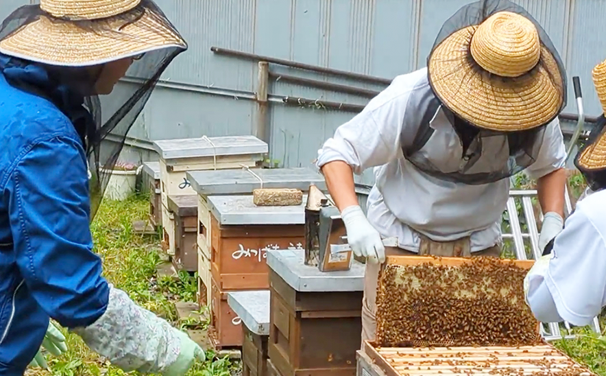 NHKの番組が養蜂場にＴＶ取材にいらっしゃいました！