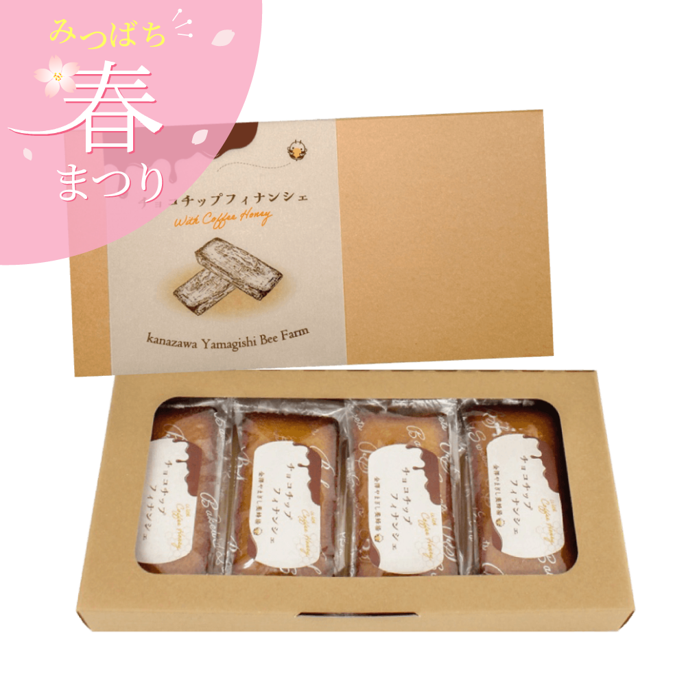 チョコチップフィナンシェ(4個・箱入り)