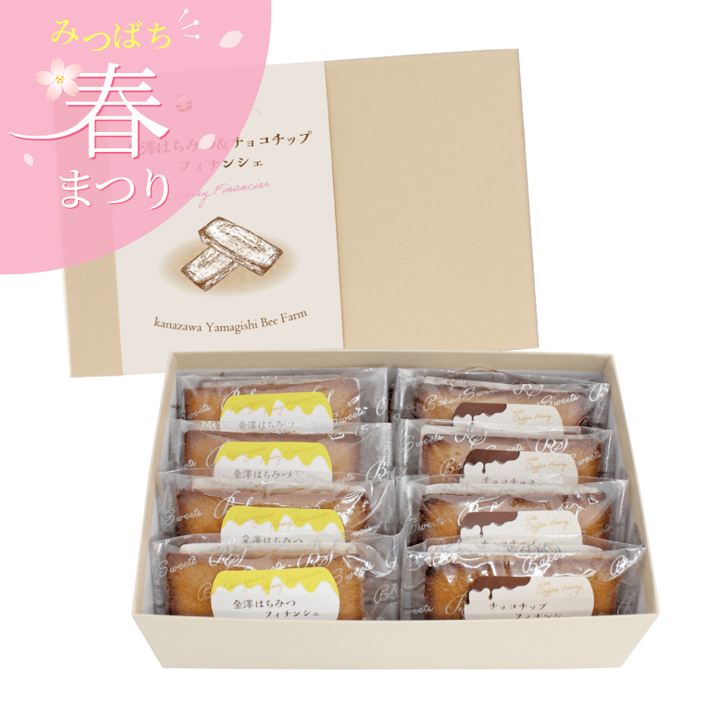 はちみつフィナンシェ(プレーン・チョコチップ)8個入り