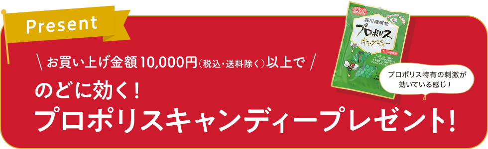 キャンペーン期間中10,000円以上(税込・送料除く)のご購入で「あかしあ大地ミニボトル（100g）」プレゼント！