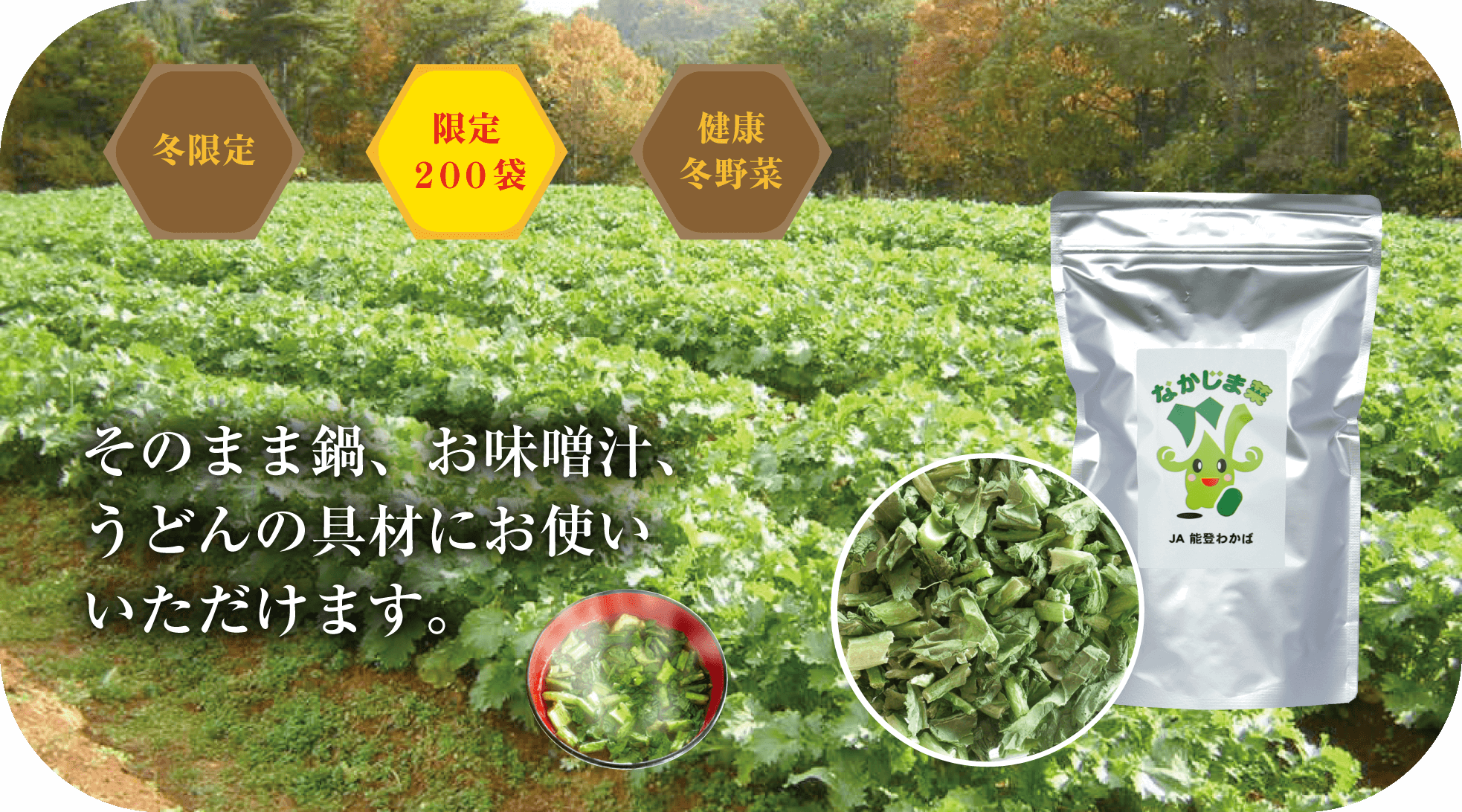 中島菜（フリーズドライ）２５ｇ ｜ 金澤やまぎし養蜂場オンラインショップ